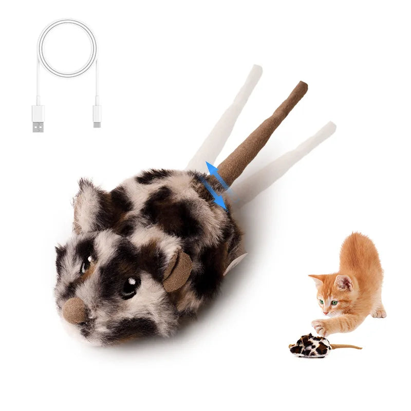 Winsome Cats And Dogs