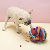 Pet Snuffle Ball Toy