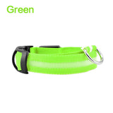 LED Glowing Night Safety Collar | Green