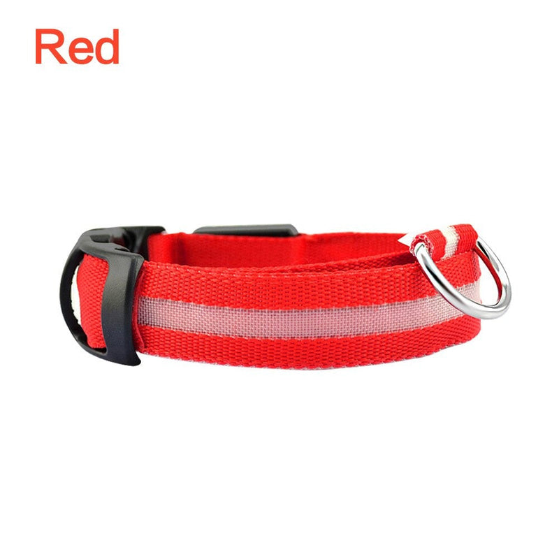 LED Glowing Night Safety Collar | Red