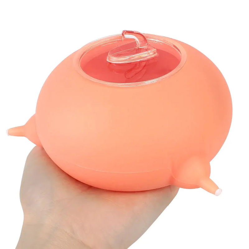 Silicone Pet Nursing Bowl