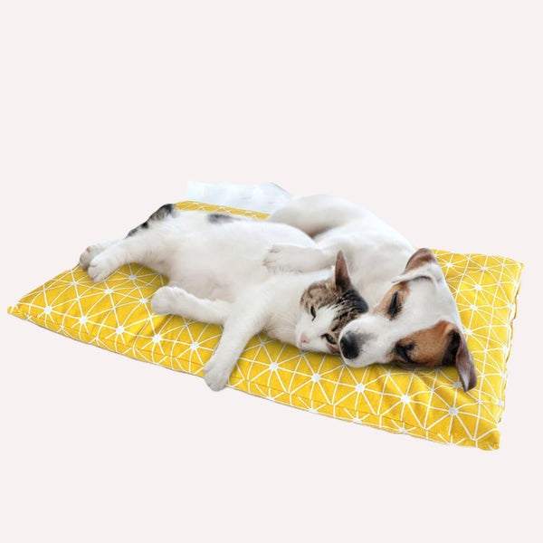 Soft Warm Pet Plaid Mattress