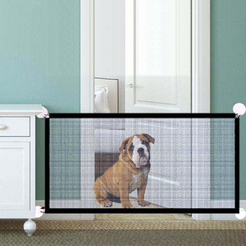 Winsome Cats And Dogs
