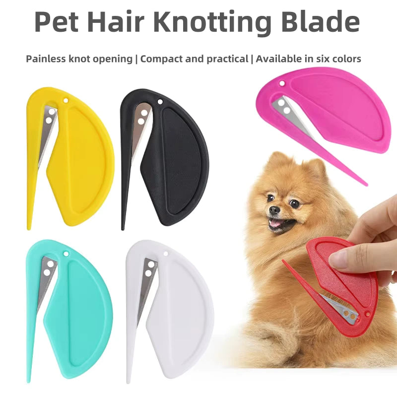 Winsome Cats And Dogs