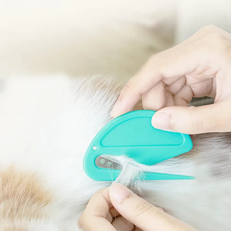 Winsome Cats And Dogs