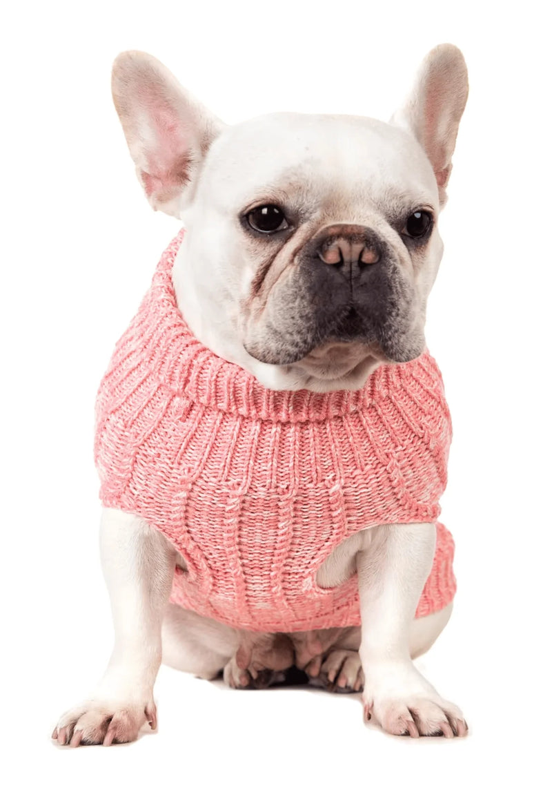 Winsome Cats And Dogs