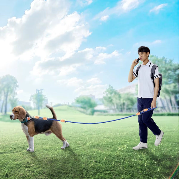 Multipurpose medium size Dog Double Leash