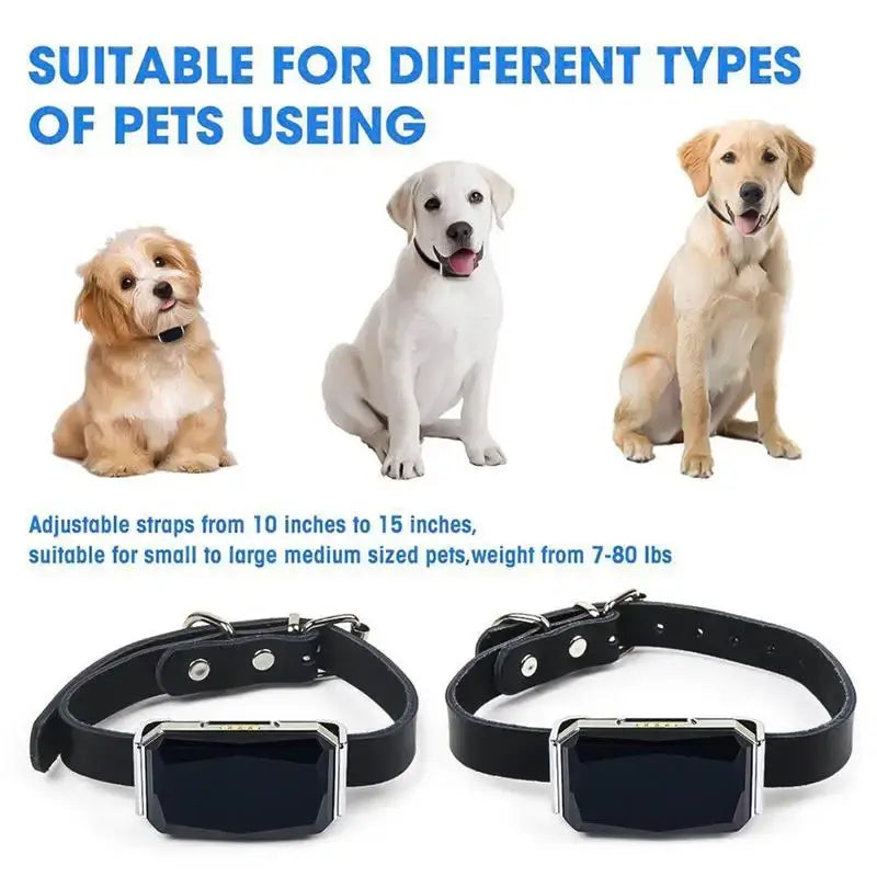 PawGuard Smart Collar