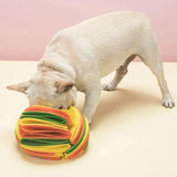 Pet Snuffle Ball Toy